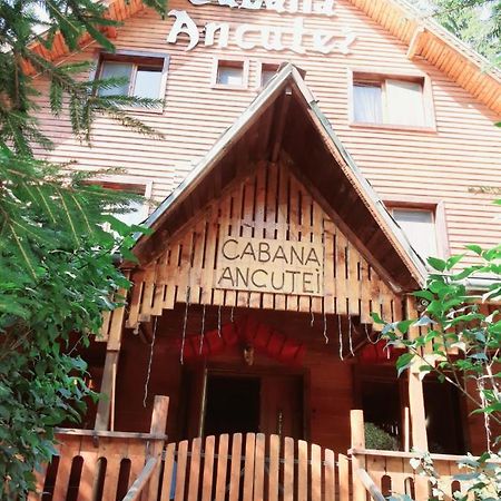 Cabana Ancutei Rucăr エクステリア 写真