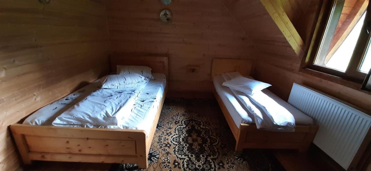 Cabana Ancutei Rucăr エクステリア 写真