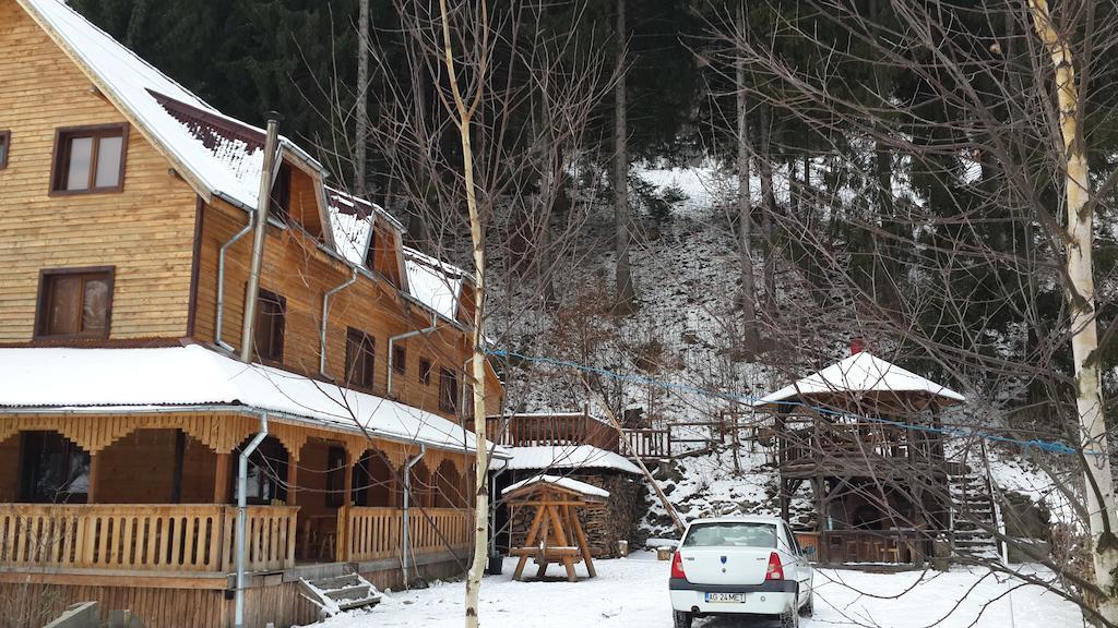 Cabana Ancutei Rucăr エクステリア 写真