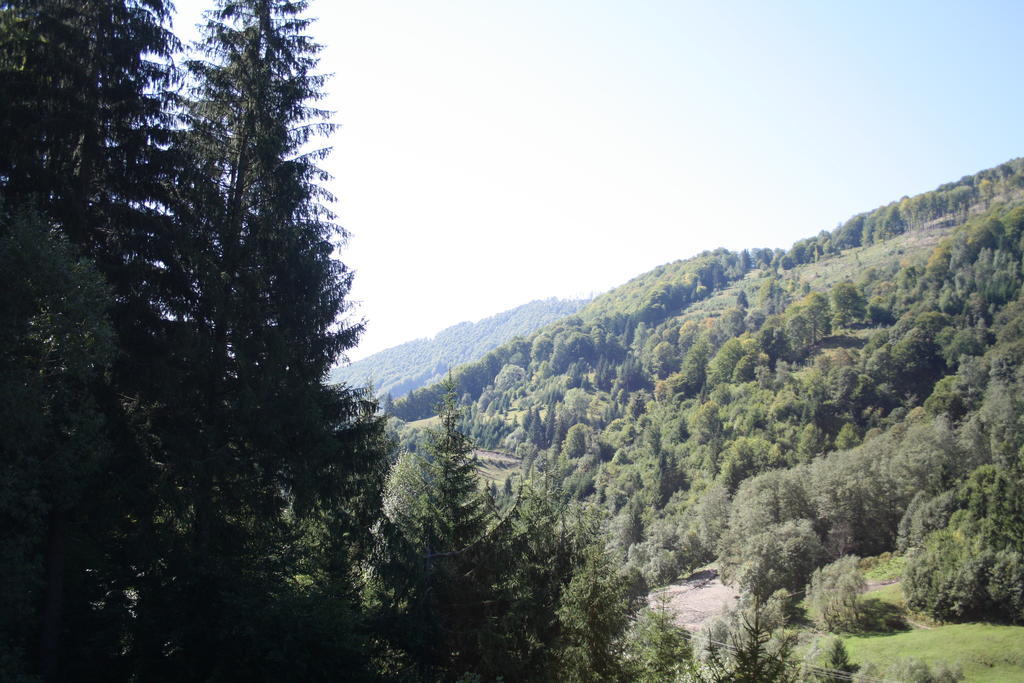 Cabana Ancutei Rucăr エクステリア 写真