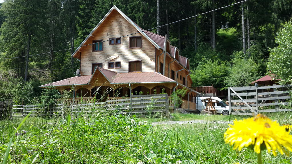 Cabana Ancutei Rucăr エクステリア 写真