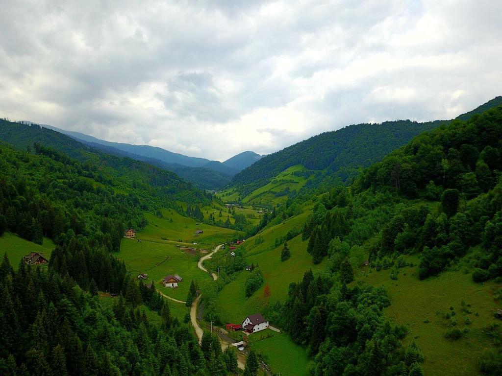 Cabana Ancutei Rucăr エクステリア 写真