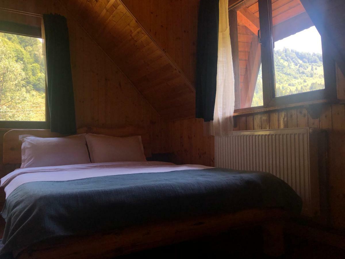 Cabana Ancutei Rucăr エクステリア 写真
